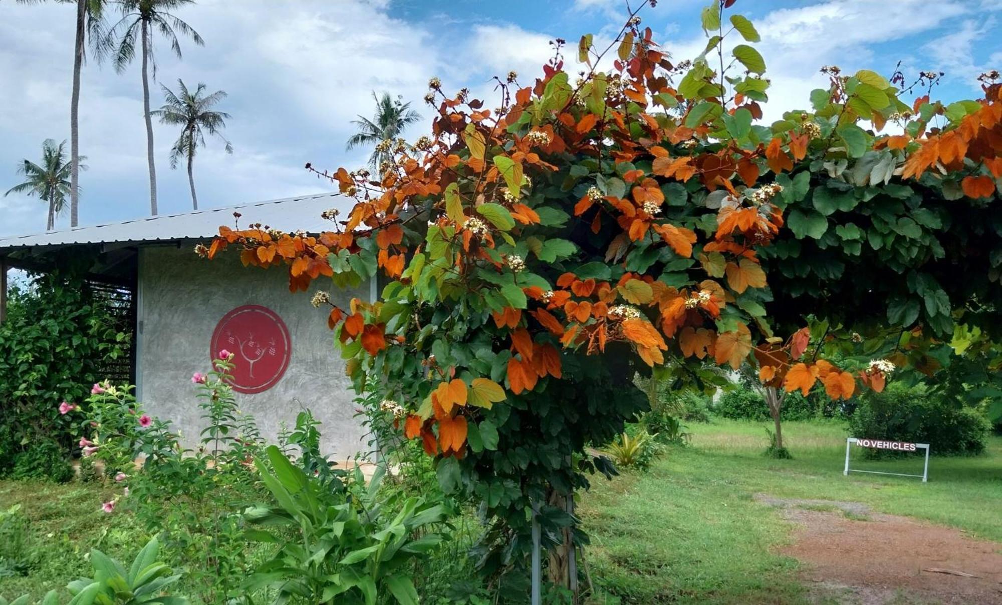 Naivacha Tent Koh Mak Bagian luar foto